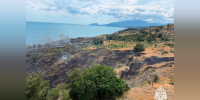 В Солнечногорском под Алуштой ликвидировали природный пожар - КрымИнформ