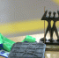 Ректор ТувГУ встретилась с серебряным призёром чемпионата мира по спортивной борьбе - ТувГУ