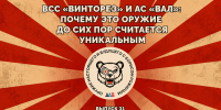 ВСС «Винторез» и АС «Вал»: почему это оружие до сих пор считается уникальным - Луганский Информационный Центр