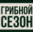 Тихая охота без разрешения - Министерство природных ресурсов