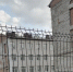 Школа № 9. Фото пресс-службы городской Думы - RuffNews.Ru
