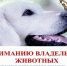 Владельцы домашних животных приглашаются на выездную вакцинацию - ОТВ-Серпухов