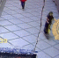 В Калининграде двое на самокате сбили 5-летнего - ИА Русский Запад