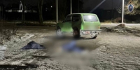 В Предгорном округе мужчина признан виновным в убийстве своего родственника - СУ СК РФ