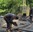Два лесопарка в Раменском скоро откроют после благоустройства - РТВ-Подмосковье