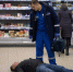 Очень спокойно лежал на полу, а потом... умер - Newsler.Ru