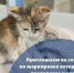 Увеличить - ТПП Нижегородской области