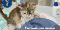 Увеличить - ТПП Нижегородской области