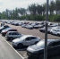 Новая автостоянка в Парголово приняла более тысячи машин - Петербургский дневник