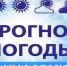 Метеорологический прогноз на 19.06.2026 - Венгеровский район