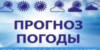 Метеорологический прогноз на 19.06.2026 - Венгеровский район