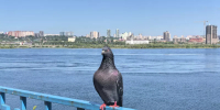 Тепло и малооблачно: на выходных в Красноярском крае будет комфортная погода - ИА Запад24