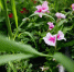 image - GazetaRB.Ru
