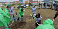 Магаданцы приняли участие в международной эколого-патриотической акции «Сад Памяти». - Kolyma.Ru
