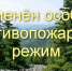 Особый противопожарный режим по Свердловской области отменен - Артемовский городской округ