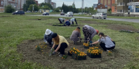 В Йошкар-Оле зацвели разворотные кольца - Pg12.Ru