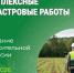 Извещение о проведении заседания согласительной комиссии по вопросу согласования местоположения границ земельных участков при выполнении комплексных кадастровых работ. - Катайский муниципальный округ