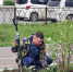 Депутат Городской Думы Биробиджана Кирилл Девятко высадил аллею сакуры перед обувной фабрикой - Администрация г. Биробиджан