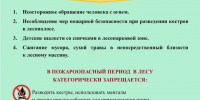 Внимание! В пожароопасный период максимально ограничивается посещение леса! - Городской округ Красногорск