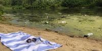 Купальный беспредел. Эпидемиолог объяснила, в каких водоемах можно заразиться летом - Херсонское агентство новостей