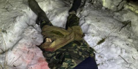 Суд в Приморье обязал "Примлес" выплатить 2 млн рублей родственным погибшего лесничего - Baikal24.Ru