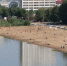 На омском пляже нашли паразитов - СуперОмск