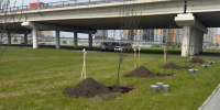 Фото Тюменской городской Думы, автор неизвестен - Tumentoday.Ru