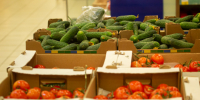 В Челябинской области некачественные продукты перед ликвидацией обяжут портить до неузнаваемости - Pchela.News
