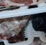 В детсадах Петушинского района нашли нарушения при хранении мяса и рыбы - Progorod33.Ru