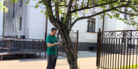 Сотрудники Центра защиты леса Красноярского края  обследовали зеленые насаждения вокруг городского ТЮЗа - Рослесозащита