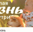 Объявляем творческий конкурс! - Ижевская и Удмуртская епархия