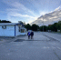 img - ЛДПР