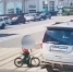 В центре Курска легковушка едва не сбила двоих детей на пешеходном переходе - Курская правда