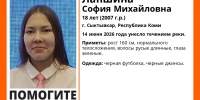 Большая вода, сильное течение и отсутствие информации осложняют поиски утонувшей в Сыктывкаре девушки - ИА Комиинформ