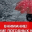 Рекомендации для населения на 20.06.2026 г. - Асекеевский район