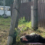 Пропавшую в Нижнем Тагиле пенсионерку нашли спящей на улице - ИА Уральский меридиан