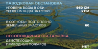 Лесопожарная и паводковая обстановка в Мегионе на 19 июня - Администрация г. Мегиона