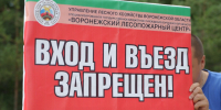 Более 1,5 тыс. воронежцев оштрафовали за нарушение пожароопасного сезона - ГТРК Воронеж