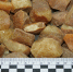 10256_11-RESIZED - KaliningradNews.Ru