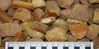 10256_11-RESIZED - KaliningradNews.Ru