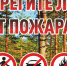 Безопасность в лесах: администрация Каратузского района напоминает о жестких запретах в пожароопасный период. - Каратузский район