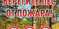 Безопасность в лесах: администрация Каратузского района напоминает о жестких запретах в пожароопасный период. - Каратузский район
