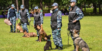 Столица отмечает День кинолога вместе с проектом «Питомцы в Москве» - Вечерняя Москва