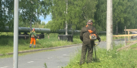 В Новодвинске продолжаются плановые работы по покосу травы. - Город Новодвинск