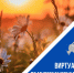 V Всероссийский конкурс этнокультурных выставочных проектов «Виртуальный тур по многонациональной России» - Shushenskoe.Info