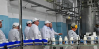 В Новосибирской области расширяют переработку молока на новом уровне - 1-LINE