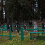 Мужчину убили на кладбище под Петрозаводском - Gubdaily.Ru