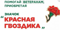 В Курской области проходит Всероссийская акция «Красная гвоздика». - Администрация МО