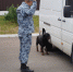 DSC07060 - УМВД Липецкой области