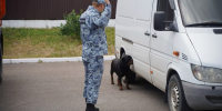DSC07060 - УМВД Липецкой области